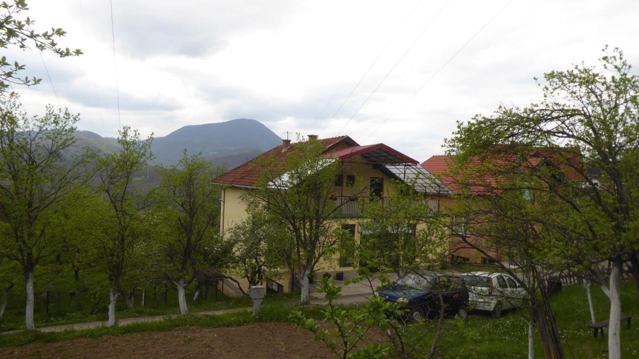 Guest House Pribojska Banja Eksteriør billede