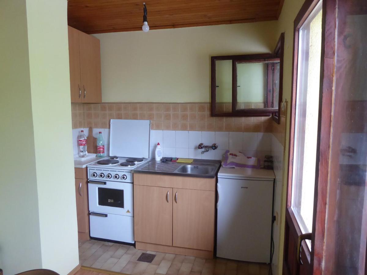 Guest House Pribojska Banja Eksteriør billede