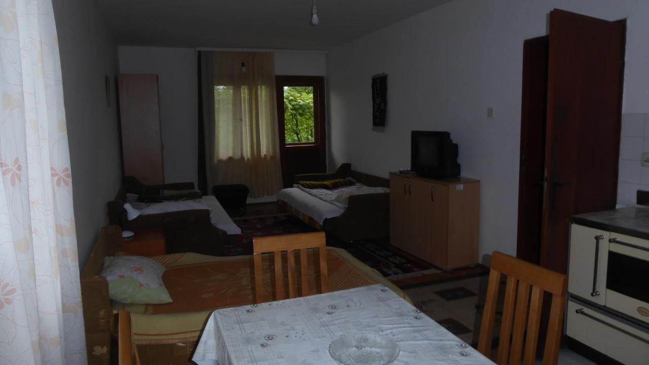 Guest House Pribojska Banja Eksteriør billede