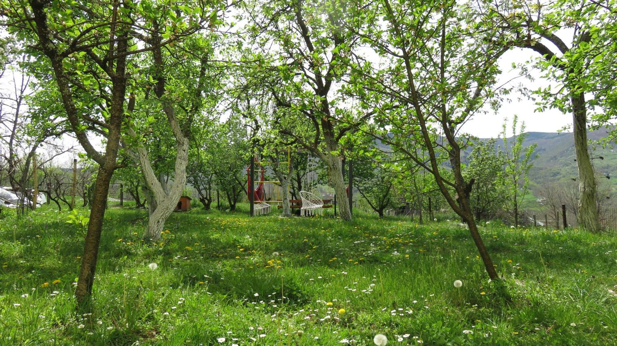 Guest House Pribojska Banja Eksteriør billede