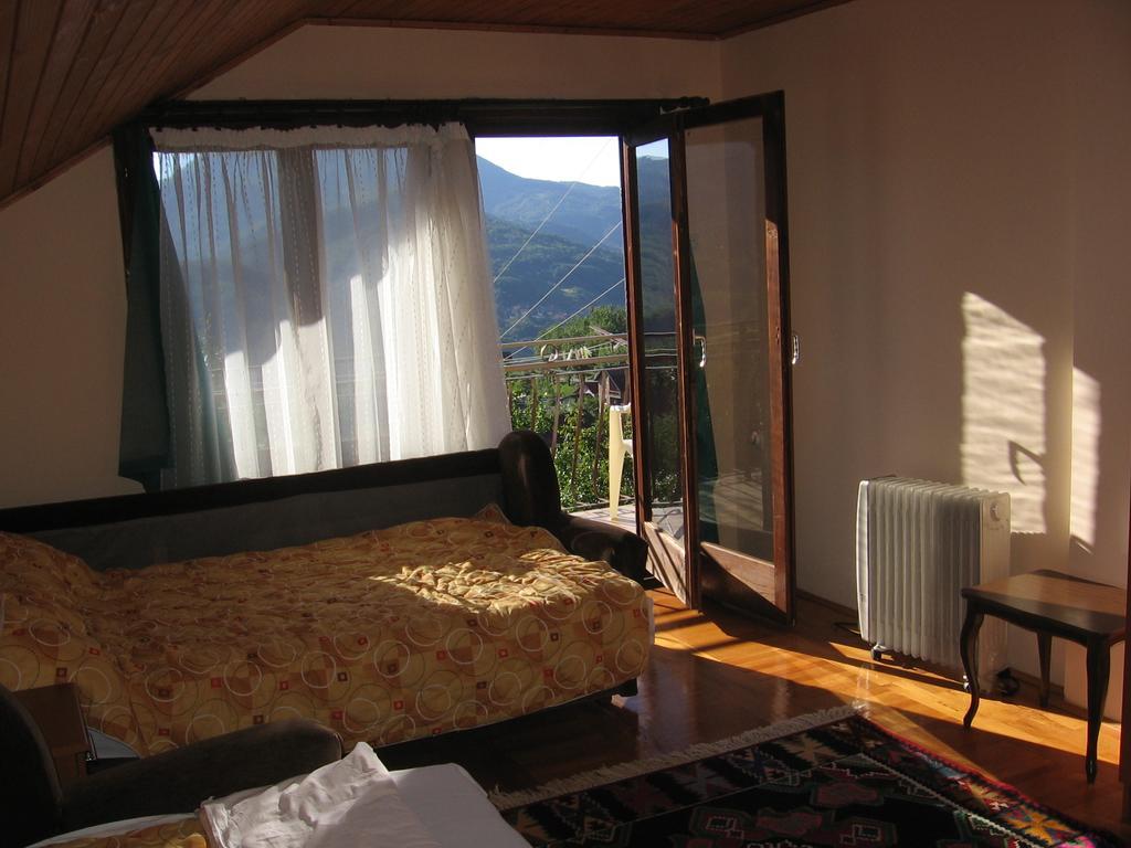 Guest House Pribojska Banja Eksteriør billede