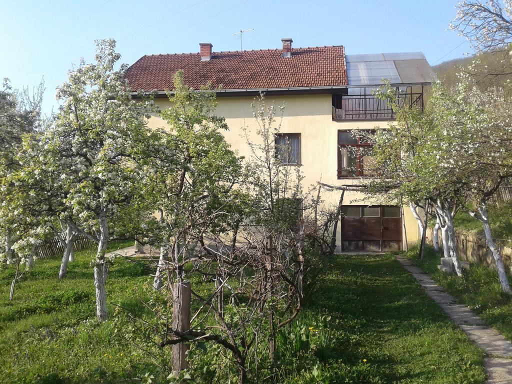 Guest House Pribojska Banja Eksteriør billede