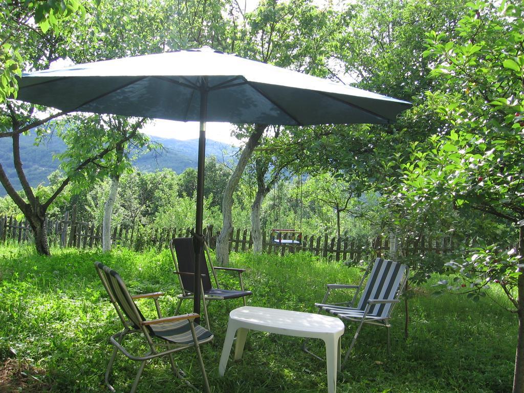 Guest House Pribojska Banja Eksteriør billede